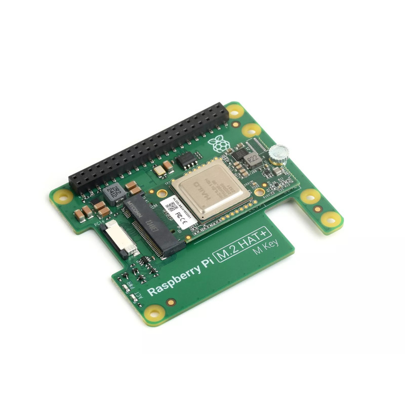 Плата розширення RPI 5 M.2 HAT+ HAILO AI KIT
