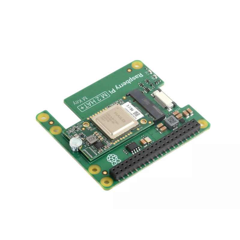 Плата розширення RPI 5 M.2 HAT+ HAILO AI KIT